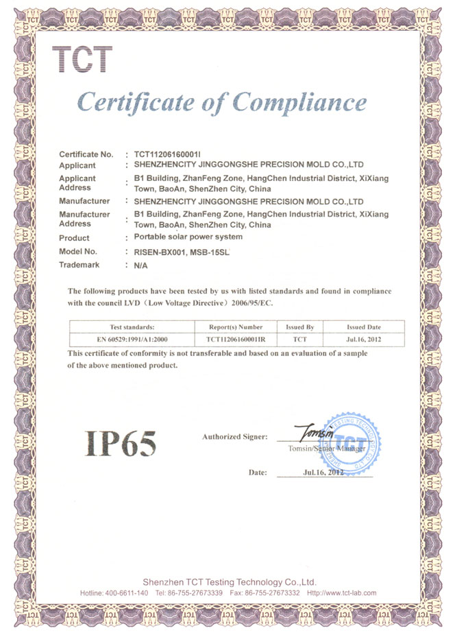 IP 65